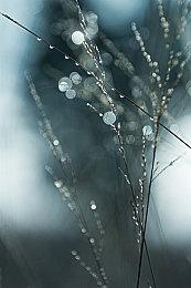 Fami通新一周销量榜 《黄金树幽影》登顶